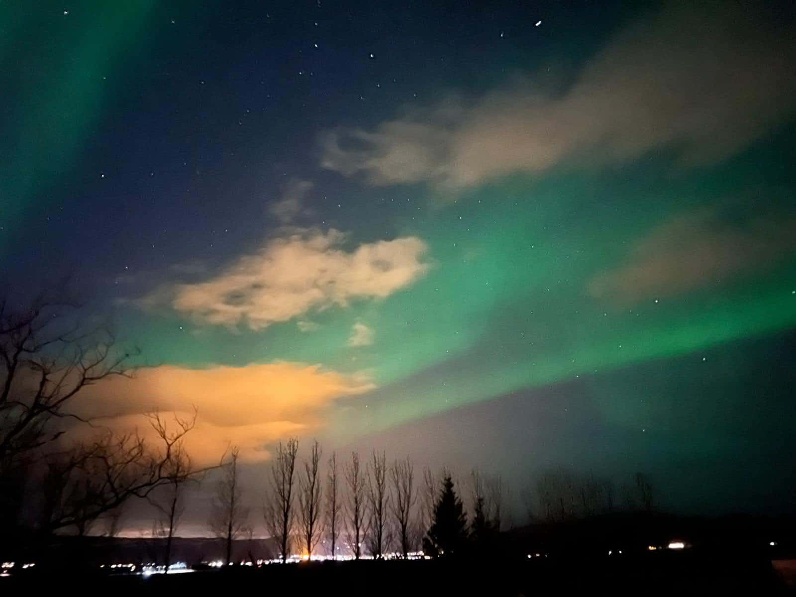 The northern lights captured in Iceland on a Didsbury High School trip.